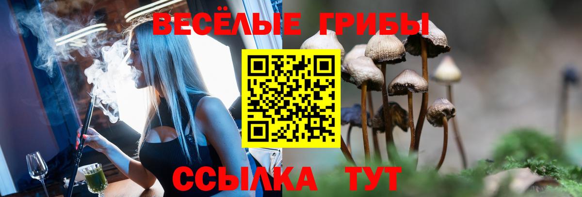Тихорецк  Галлюциногенные грибы мухоморы  Вход с VPN 